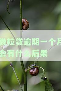 微粒贷逾期一个月怎么办？解决逾期问题的步骤与建议