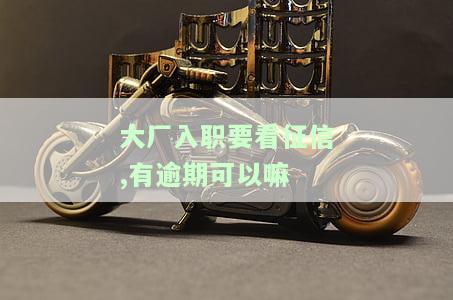 入职要看征信报告,欠多少钱都被看到了，揭秘职场：入职前看征信报告，欠款情况一目了然！