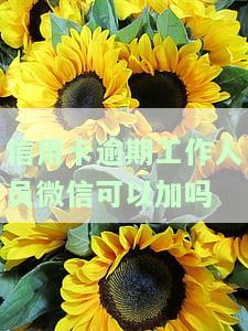 信用卡逾期工作人员微信添加安全性探讨