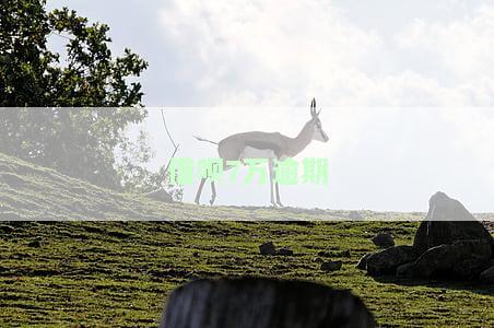 借呗7万逾期5天被电话告知可能会上门核查，是否真实？
