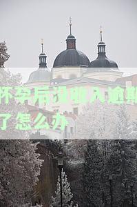 怀孕了没有收入负债：如何应对经济压力？