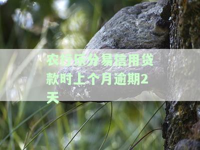 农行乐分易信用贷款申请通过未收短信，放款时间及审核进度查询