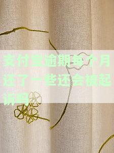 支付宝逾期每个月还了一些还会被起诉吗，支付宝逾期还款：每月偿还部分欠款是否会被起诉？