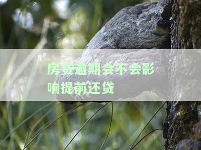 房贷逾期会不会影响提前还贷款，房贷逾期是否会影响提前还款？