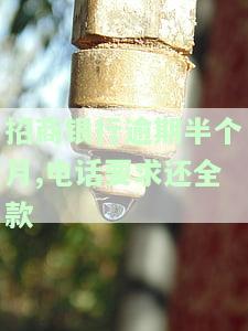 招商银行逾期半个月,电话要求还全款-招商银行逾期半个月,电话要求还全款怎么办