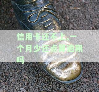 欠信用卡一个月还一点会不会起诉，信用卡欠款一个月未还，是否会面临诉讼风险？