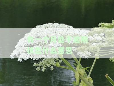 有1个月处于逾期状态，警告：您的账户已有一整月处于逾期状态，请尽快还款以避免进一步的处罚。