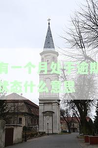 有一个月处于逾期状态是逾期几次，如何理解一个月的逾期为几次逾期？