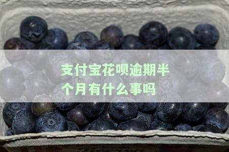 支付宝花呗逾期半个月会产生什么影响？会影响征信吗？