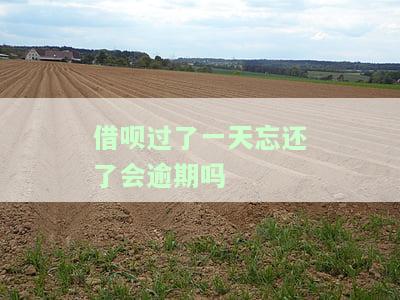 借呗过一天没还，会影响征信吗？