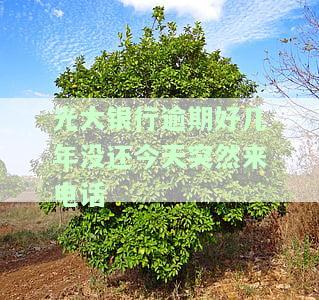 光大银行逾期好几年没还今天突然来电话怎么回事，光大银行多年未还贷款，为何今日突然来电催收？