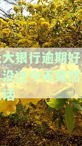 光大银行逾期好几年没还今天突然来电话怎么办，突发情况：光大银行逾期多年未还，今日来电如何应对？