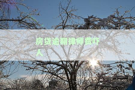房贷逾期律师费用收取标准，房贷逾期：了解律师费用收取标准