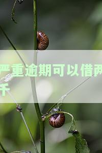逾期两千多块钱能告法庭吗，逾期两千多块钱能否在法庭上被起诉？