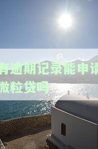 有逾期记录能申请微粒贷吗？安全性与可靠性如何？