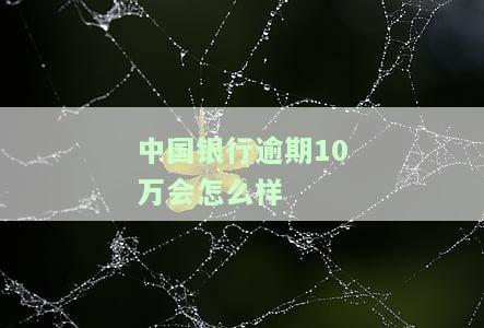 中国银行逾期10万如何处理？费用是多少？