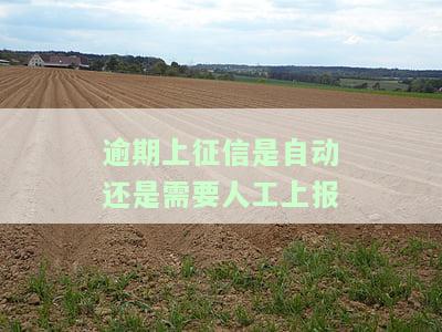 逾期上征信是自动还是需要人工上报的，逾期上征信：是自动还是需要人工上报？