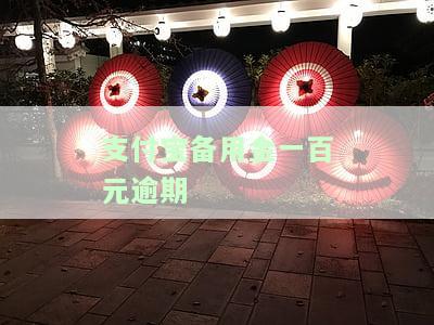 支付宝备用金一百元逾期会怎么样，逾期一百元的支付宝备用金会产生什么后果？