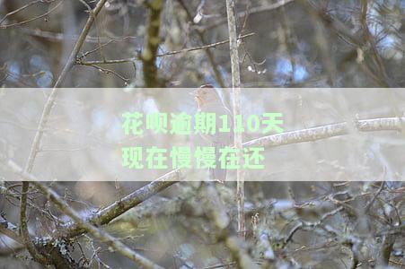 花呗逾期110天，现在慢慢还款，多久能恢复正常使用？