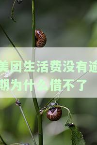 美团生活费未逾期却无法使用，何解？