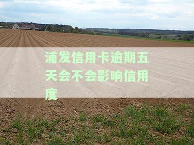 浦发信用卡逾期后还款，卡片能否继续使用？安全性如何？