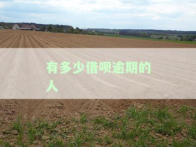 借呗逾期的人多不多，探究“借呗逾期”现象：有多少人未能按时还款？