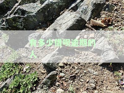 借呗逾期情况如何？现在能继续借款吗？