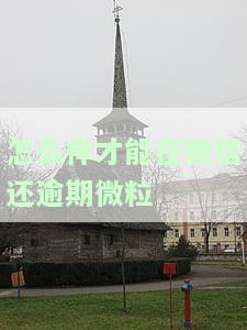 怎么样还微粒贷，如何还款微粒贷？详细步骤解析