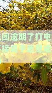 美团逾期了打电话不接属于恶意逾期吗怎么办，美团逾期未接听催收电话，是否算恶意逾期？解决方案大揭秘！