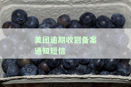 美团逾期收到备案通知短信