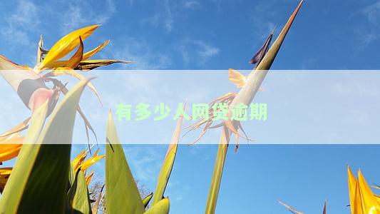 有多少人网贷逾期