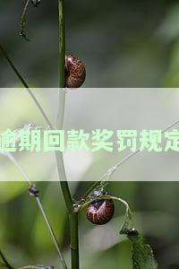 逾期回款奖罚规定，确保资金安全：逾期回款奖罚规定详解