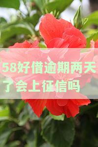 58好借逾期两天了会上征信吗-58好借逾期两天了会上征信吗知乎