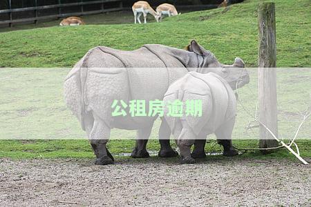 公租房逾期