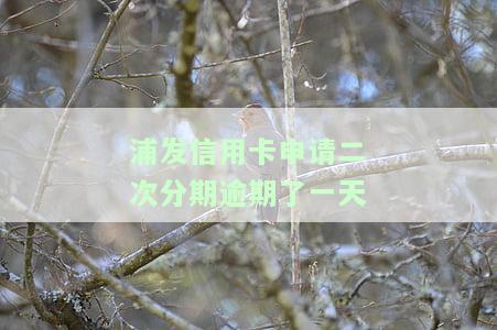 浦发二次分期后逾期一天如何还款？