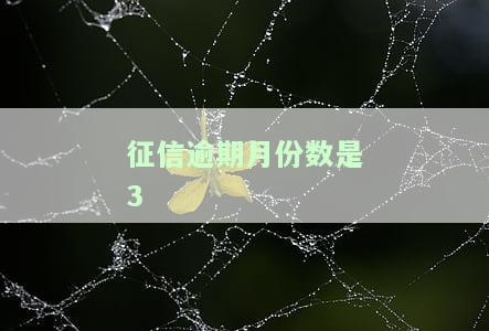 征信上逾期月份数，如何查看个人征信上的逾期月份数？