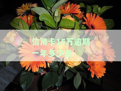 信用卡15万逾期了还不上怎么办，信用卡欠款15万逾期未还，应该如何解决？