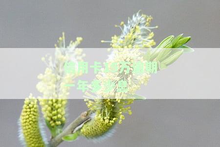 欠信用卡15万一年利息是多少钱，信用卡欠款15万，一年的利息要支付多少？
