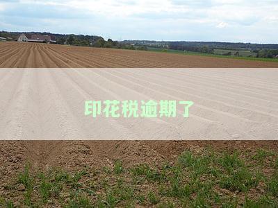 印花税逾期了，能在电脑上申报吗？操作步骤是什么？