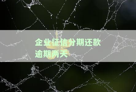 企业征信贷款逾期，警惕！企业征信贷款逾期可能带来的严重后果