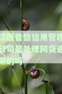 江西普信信用管理公司是处理网贷逾期的吗