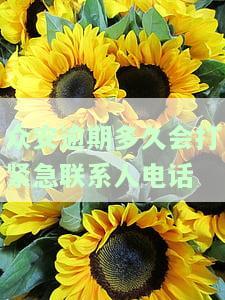 众安金融贷款逾期会被起诉吗？是否属于国家打击围？