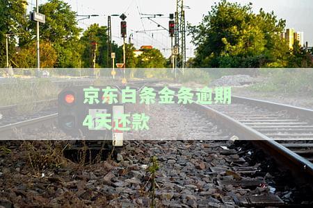 京东金融白条逾期四天还款后能否继续使用？会对征信产生影响吗？会有哪些后果？