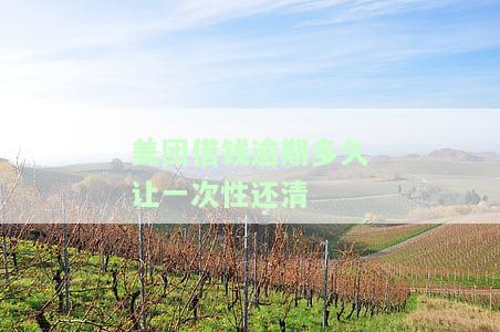 美团借钱逾期多久让一次性还清