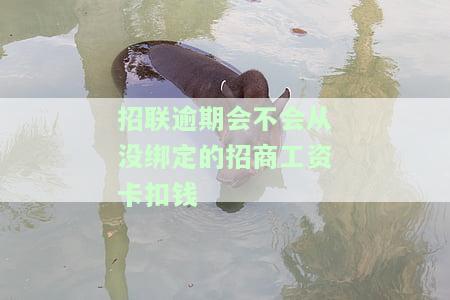 招联逾期会不会从没绑定的招商工资卡扣钱了，招联逾期：是否会从未绑定的招商银行工资卡中扣款？