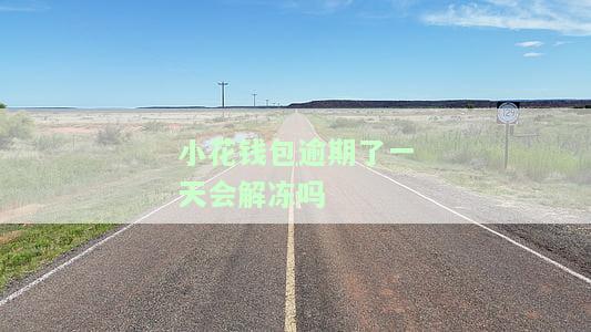 小花钱包逾期过一次是不是以后就不能借款了，逾期一次会影响小花钱包的再次借款吗？