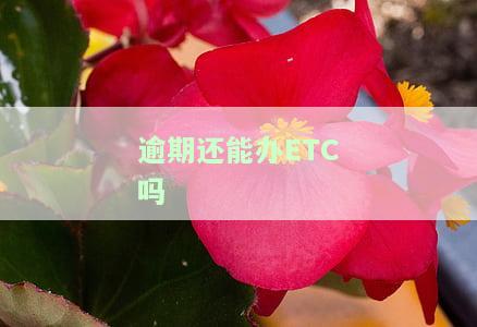 '逾期还能办信用卡吗？其他信用卡逾期是否还会影响申请？'