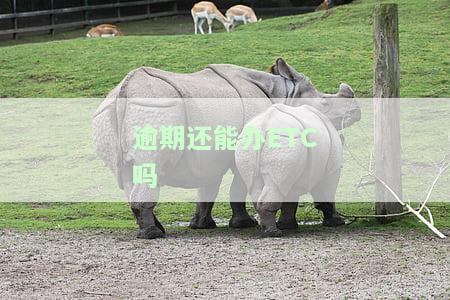 逾期还能办ETC吗