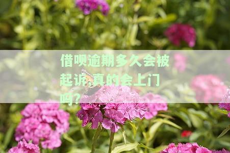 借呗逾期多久会被起诉,真的会上门吗?