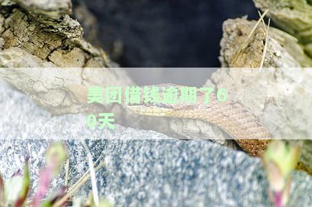 美团借钱逾期了60天会怎样，警惕！美团借钱逾期60天的严重后果
